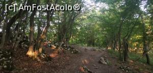 [P05] Ciucarul Mare, spre punctele de belvedere. » foto by Aurici
 - 
<span class="allrVoted glyphicon glyphicon-heart hidden" id="av1172468"></span>
<a class="m-l-10 hidden" id="sv1172468" onclick="voting_Foto_DelVot(,1172468,24578)" role="button">șterge vot <span class="glyphicon glyphicon-remove"></span></a>
<a id="v91172468" class=" c-red"  onclick="voting_Foto_SetVot(1172468)" role="button"><span class="glyphicon glyphicon-heart-empty"></span> <b>LIKE</b> = Votează poza</a> <img class="hidden"  id="f1172468W9" src="/imagini/loader.gif" border="0" /><span class="AjErrMes hidden" id="e1172468ErM"></span>