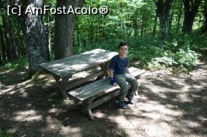 [P03]  -- <small>// FĂRĂ DESCRIERE</small> » foto by wolf2001*
 - 
<span class="allrVoted glyphicon glyphicon-heart hidden" id="av767339"></span>
<a class="m-l-10 hidden" id="sv767339" onclick="voting_Foto_DelVot(,767339,24578)" role="button">șterge vot <span class="glyphicon glyphicon-remove"></span></a>
<a id="v9767339" class=" c-red"  onclick="voting_Foto_SetVot(767339)" role="button"><span class="glyphicon glyphicon-heart-empty"></span> <b>LIKE</b> = Votează poza</a> <img class="hidden"  id="f767339W9" src="/imagini/loader.gif" border="0" /><span class="AjErrMes hidden" id="e767339ErM"></span>