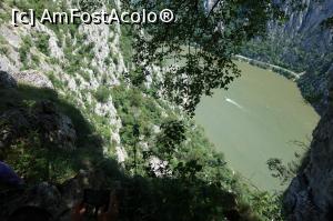 [P08]  -- <small>// FĂRĂ DESCRIERE</small> » foto by wolf2001*
 - 
<span class="allrVoted glyphicon glyphicon-heart hidden" id="av767346"></span>
<a class="m-l-10 hidden" id="sv767346" onclick="voting_Foto_DelVot(,767346,24578)" role="button">șterge vot <span class="glyphicon glyphicon-remove"></span></a>
<a id="v9767346" class=" c-red"  onclick="voting_Foto_SetVot(767346)" role="button"><span class="glyphicon glyphicon-heart-empty"></span> <b>LIKE</b> = Votează poza</a> <img class="hidden"  id="f767346W9" src="/imagini/loader.gif" border="0" /><span class="AjErrMes hidden" id="e767346ErM"></span>