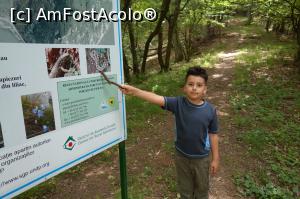 [P16]  -- <small>// FĂRĂ DESCRIERE</small> » foto by wolf2001*
 - 
<span class="allrVoted glyphicon glyphicon-heart hidden" id="av767867"></span>
<a class="m-l-10 hidden" id="sv767867" onclick="voting_Foto_DelVot(,767867,24578)" role="button">șterge vot <span class="glyphicon glyphicon-remove"></span></a>
<a id="v9767867" class=" c-red"  onclick="voting_Foto_SetVot(767867)" role="button"><span class="glyphicon glyphicon-heart-empty"></span> <b>LIKE</b> = Votează poza</a> <img class="hidden"  id="f767867W9" src="/imagini/loader.gif" border="0" /><span class="AjErrMes hidden" id="e767867ErM"></span>