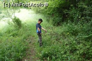 [P04]  -- <small>// FĂRĂ DESCRIERE</small> » foto by wolf2001*
 - 
<span class="allrVoted glyphicon glyphicon-heart hidden" id="av767850"></span>
<a class="m-l-10 hidden" id="sv767850" onclick="voting_Foto_DelVot(,767850,24578)" role="button">șterge vot <span class="glyphicon glyphicon-remove"></span></a>
<a id="v9767850" class=" c-red"  onclick="voting_Foto_SetVot(767850)" role="button"><span class="glyphicon glyphicon-heart-empty"></span> <b>LIKE</b> = Votează poza</a> <img class="hidden"  id="f767850W9" src="/imagini/loader.gif" border="0" /><span class="AjErrMes hidden" id="e767850ErM"></span>