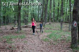 [P07]  -- <small>// FĂRĂ DESCRIERE</small> » foto by wolf2001*
 - 
<span class="allrVoted glyphicon glyphicon-heart hidden" id="av767855"></span>
<a class="m-l-10 hidden" id="sv767855" onclick="voting_Foto_DelVot(,767855,24578)" role="button">șterge vot <span class="glyphicon glyphicon-remove"></span></a>
<a id="v9767855" class=" c-red"  onclick="voting_Foto_SetVot(767855)" role="button"><span class="glyphicon glyphicon-heart-empty"></span> <b>LIKE</b> = Votează poza</a> <img class="hidden"  id="f767855W9" src="/imagini/loader.gif" border="0" /><span class="AjErrMes hidden" id="e767855ErM"></span>