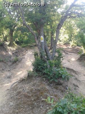 [P02] urcarea catre culme » foto by spiros
 - 
<span class="allrVoted glyphicon glyphicon-heart hidden" id="av767433"></span>
<a class="m-l-10 hidden" id="sv767433" onclick="voting_Foto_DelVot(,767433,24578)" role="button">șterge vot <span class="glyphicon glyphicon-remove"></span></a>
<a id="v9767433" class=" c-red"  onclick="voting_Foto_SetVot(767433)" role="button"><span class="glyphicon glyphicon-heart-empty"></span> <b>LIKE</b> = Votează poza</a> <img class="hidden"  id="f767433W9" src="/imagini/loader.gif" border="0" /><span class="AjErrMes hidden" id="e767433ErM"></span>