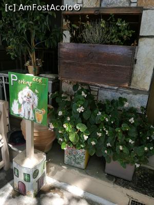 [P27] Platanos, Filoti - parcarea de căței » foto by crismis
 - 
<span class="allrVoted glyphicon glyphicon-heart hidden" id="av1035000"></span>
<a class="m-l-10 hidden" id="sv1035000" onclick="voting_Foto_DelVot(,1035000,24617)" role="button">șterge vot <span class="glyphicon glyphicon-remove"></span></a>
<a id="v91035000" class=" c-red"  onclick="voting_Foto_SetVot(1035000)" role="button"><span class="glyphicon glyphicon-heart-empty"></span> <b>LIKE</b> = Votează poza</a> <img class="hidden"  id="f1035000W9" src="/imagini/loader.gif" border="0" /><span class="AjErrMes hidden" id="e1035000ErM"></span>