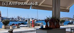 [P52] Greek Authentic Cuisine-Taverna, pe terasă » foto by irinad
 - 
<span class="allrVoted glyphicon glyphicon-heart hidden" id="av1528208"></span>
<a class="m-l-10 hidden" id="sv1528208" onclick="voting_Foto_DelVot(,1528208,24617)" role="button">șterge vot <span class="glyphicon glyphicon-remove"></span></a>
<a id="v91528208" class=" c-red"  onclick="voting_Foto_SetVot(1528208)" role="button"><span class="glyphicon glyphicon-heart-empty"></span> <b>LIKE</b> = Votează poza</a> <img class="hidden"  id="f1528208W9" src="/imagini/loader.gif" border="0" /><span class="AjErrMes hidden" id="e1528208ErM"></span>