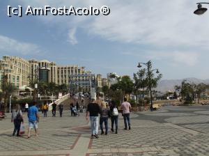 [P12] Podul peste laguna dun Eilat » foto by irinad
 - 
<span class="allrVoted glyphicon glyphicon-heart hidden" id="av1036112"></span>
<a class="m-l-10 hidden" id="sv1036112" onclick="voting_Foto_DelVot(,1036112,24635)" role="button">șterge vot <span class="glyphicon glyphicon-remove"></span></a>
<a id="v91036112" class=" c-red"  onclick="voting_Foto_SetVot(1036112)" role="button"><span class="glyphicon glyphicon-heart-empty"></span> <b>LIKE</b> = Votează poza</a> <img class="hidden"  id="f1036112W9" src="/imagini/loader.gif" border="0" /><span class="AjErrMes hidden" id="e1036112ErM"></span>