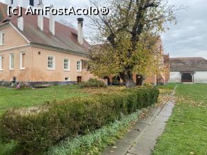 [P08] Biserica evanghelica fortificata din Cristian, casa parohiala si un nuc batran » foto by mishu
 - 
<span class="allrVoted glyphicon glyphicon-heart hidden" id="av1336855"></span>
<a class="m-l-10 hidden" id="sv1336855" onclick="voting_Foto_DelVot(,1336855,24645)" role="button">șterge vot <span class="glyphicon glyphicon-remove"></span></a>
<a id="v91336855" class=" c-red"  onclick="voting_Foto_SetVot(1336855)" role="button"><span class="glyphicon glyphicon-heart-empty"></span> <b>LIKE</b> = Votează poza</a> <img class="hidden"  id="f1336855W9" src="/imagini/loader.gif" border="0" /><span class="AjErrMes hidden" id="e1336855ErM"></span>