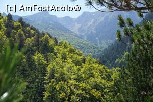 [P26] Pe aici trece poteca.  » foto by monik-50
 - 
<span class="allrVoted glyphicon glyphicon-heart hidden" id="av1037563"></span>
<a class="m-l-10 hidden" id="sv1037563" onclick="voting_Foto_DelVot(,1037563,24648)" role="button">șterge vot <span class="glyphicon glyphicon-remove"></span></a>
<a id="v91037563" class=" c-red"  onclick="voting_Foto_SetVot(1037563)" role="button"><span class="glyphicon glyphicon-heart-empty"></span> <b>LIKE</b> = Votează poza</a> <img class="hidden"  id="f1037563W9" src="/imagini/loader.gif" border="0" /><span class="AjErrMes hidden" id="e1037563ErM"></span>