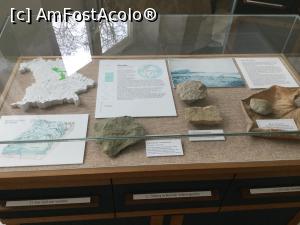 [P12] Muzeul de Geologie - Am ajuns in Cretacic » foto by mishu
 - 
<span class="allrVoted glyphicon glyphicon-heart hidden" id="av1038044"></span>
<a class="m-l-10 hidden" id="sv1038044" onclick="voting_Foto_DelVot(,1038044,24660)" role="button">șterge vot <span class="glyphicon glyphicon-remove"></span></a>
<a id="v91038044" class=" c-red"  onclick="voting_Foto_SetVot(1038044)" role="button"><span class="glyphicon glyphicon-heart-empty"></span> <b>LIKE</b> = Votează poza</a> <img class="hidden"  id="f1038044W9" src="/imagini/loader.gif" border="0" /><span class="AjErrMes hidden" id="e1038044ErM"></span>