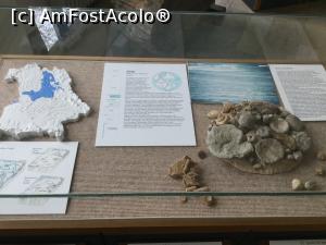 [P15] Muzeul de Geologie - Etapa Jurasic » foto by mishu
 - 
<span class="allrVoted glyphicon glyphicon-heart hidden" id="av1038055"></span>
<a class="m-l-10 hidden" id="sv1038055" onclick="voting_Foto_DelVot(,1038055,24660)" role="button">șterge vot <span class="glyphicon glyphicon-remove"></span></a>
<a id="v91038055" class=" c-red"  onclick="voting_Foto_SetVot(1038055)" role="button"><span class="glyphicon glyphicon-heart-empty"></span> <b>LIKE</b> = Votează poza</a> <img class="hidden"  id="f1038055W9" src="/imagini/loader.gif" border="0" /><span class="AjErrMes hidden" id="e1038055ErM"></span>