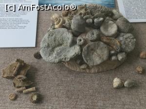 [P16] Muzeul de Geologie - Nu sunt decoratiuni de Craciun ci dovezi din Jurasic » foto by mishu
 - 
<span class="allrVoted glyphicon glyphicon-heart hidden" id="av1038059"></span>
<a class="m-l-10 hidden" id="sv1038059" onclick="voting_Foto_DelVot(,1038059,24660)" role="button">șterge vot <span class="glyphicon glyphicon-remove"></span></a>
<a id="v91038059" class=" c-red"  onclick="voting_Foto_SetVot(1038059)" role="button"><span class="glyphicon glyphicon-heart-empty"></span> <b>LIKE</b> = Votează poza</a> <img class="hidden"  id="f1038059W9" src="/imagini/loader.gif" border="0" /><span class="AjErrMes hidden" id="e1038059ErM"></span>