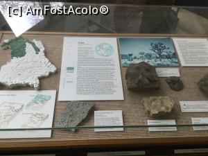 [P18] Muzeul de Geologie - Triasic » foto by mishu
 - 
<span class="allrVoted glyphicon glyphicon-heart hidden" id="av1038061"></span>
<a class="m-l-10 hidden" id="sv1038061" onclick="voting_Foto_DelVot(,1038061,24660)" role="button">șterge vot <span class="glyphicon glyphicon-remove"></span></a>
<a id="v91038061" class=" c-red"  onclick="voting_Foto_SetVot(1038061)" role="button"><span class="glyphicon glyphicon-heart-empty"></span> <b>LIKE</b> = Votează poza</a> <img class="hidden"  id="f1038061W9" src="/imagini/loader.gif" border="0" /><span class="AjErrMes hidden" id="e1038061ErM"></span>