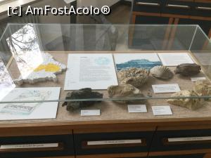 [P07] Muzeul de Geologie - O vitrina din tertiar » foto by mishu
 - 
<span class="allrVoted glyphicon glyphicon-heart hidden" id="av1038027"></span>
<a class="m-l-10 hidden" id="sv1038027" onclick="voting_Foto_DelVot(,1038027,24660)" role="button">șterge vot <span class="glyphicon glyphicon-remove"></span></a>
<a id="v91038027" class=" c-red"  onclick="voting_Foto_SetVot(1038027)" role="button"><span class="glyphicon glyphicon-heart-empty"></span> <b>LIKE</b> = Votează poza</a> <img class="hidden"  id="f1038027W9" src="/imagini/loader.gif" border="0" /><span class="AjErrMes hidden" id="e1038027ErM"></span>