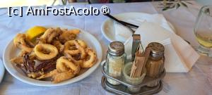 [P08] Kalamari prăjiţi, taverna Afrodite » foto by irinad
 - 
<span class="allrVoted glyphicon glyphicon-heart hidden" id="av1398487"></span>
<a class="m-l-10 hidden" id="sv1398487" onclick="voting_Foto_DelVot(,1398487,24671)" role="button">șterge vot <span class="glyphicon glyphicon-remove"></span></a>
<a id="v91398487" class=" c-red"  onclick="voting_Foto_SetVot(1398487)" role="button"><span class="glyphicon glyphicon-heart-empty"></span> <b>LIKE</b> = Votează poza</a> <img class="hidden"  id="f1398487W9" src="/imagini/loader.gif" border="0" /><span class="AjErrMes hidden" id="e1398487ErM"></span>