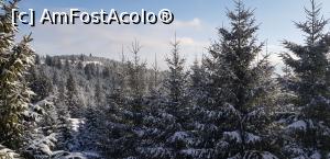 [P08] instantaneu de la balconul camerei » foto by Nobodyforever
 - 
<span class="allrVoted glyphicon glyphicon-heart hidden" id="av1153882"></span>
<a class="m-l-10 hidden" id="sv1153882" onclick="voting_Foto_DelVot(,1153882,24691)" role="button">șterge vot <span class="glyphicon glyphicon-remove"></span></a>
<a id="v91153882" class=" c-red"  onclick="voting_Foto_SetVot(1153882)" role="button"><span class="glyphicon glyphicon-heart-empty"></span> <b>LIKE</b> = Votează poza</a> <img class="hidden"  id="f1153882W9" src="/imagini/loader.gif" border="0" /><span class="AjErrMes hidden" id="e1153882ErM"></span>