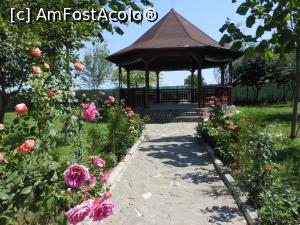 [P12] Mănăstirea Coslogeni - În incintă, flori și un foișor.  » foto by iulianic
 - 
<span class="allrVoted glyphicon glyphicon-heart hidden" id="av997202"></span>
<a class="m-l-10 hidden" id="sv997202" onclick="voting_Foto_DelVot(,997202,24699)" role="button">șterge vot <span class="glyphicon glyphicon-remove"></span></a>
<a id="v9997202" class=" c-red"  onclick="voting_Foto_SetVot(997202)" role="button"><span class="glyphicon glyphicon-heart-empty"></span> <b>LIKE</b> = Votează poza</a> <img class="hidden"  id="f997202W9" src="/imagini/loader.gif" border="0" /><span class="AjErrMes hidden" id="e997202ErM"></span>