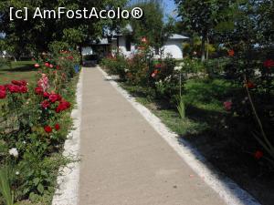 [P14] Mănăstirea Coslogeni - În incintă, alei mărginite de trandafiri înfloriți.  » foto by iulianic
 - 
<span class="allrVoted glyphicon glyphicon-heart hidden" id="av997204"></span>
<a class="m-l-10 hidden" id="sv997204" onclick="voting_Foto_DelVot(,997204,24699)" role="button">șterge vot <span class="glyphicon glyphicon-remove"></span></a>
<a id="v9997204" class=" c-red"  onclick="voting_Foto_SetVot(997204)" role="button"><span class="glyphicon glyphicon-heart-empty"></span> <b>LIKE</b> = Votează poza</a> <img class="hidden"  id="f997204W9" src="/imagini/loader.gif" border="0" /><span class="AjErrMes hidden" id="e997204ErM"></span>