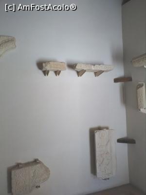 [P37] Micul muzeu: fragmente de lespezi funerare, sec. XI-XII d. Hr.  » foto by Carmen Ion
 - 
<span class="allrVoted glyphicon glyphicon-heart hidden" id="av1044374"></span>
<a class="m-l-10 hidden" id="sv1044374" onclick="voting_Foto_DelVot(,1044374,24727)" role="button">șterge vot <span class="glyphicon glyphicon-remove"></span></a>
<a id="v91044374" class=" c-red"  onclick="voting_Foto_SetVot(1044374)" role="button"><span class="glyphicon glyphicon-heart-empty"></span> <b>LIKE</b> = Votează poza</a> <img class="hidden"  id="f1044374W9" src="/imagini/loader.gif" border="0" /><span class="AjErrMes hidden" id="e1044374ErM"></span>