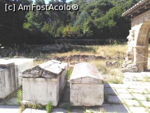 [P38] Curtea mănăstirii » foto by Carmen Ion
 - 
<span class="allrVoted glyphicon glyphicon-heart hidden" id="av1044376"></span>
<a class="m-l-10 hidden" id="sv1044376" onclick="voting_Foto_DelVot(,1044376,24727)" role="button">șterge vot <span class="glyphicon glyphicon-remove"></span></a>
<a id="v91044376" class=" c-red"  onclick="voting_Foto_SetVot(1044376)" role="button"><span class="glyphicon glyphicon-heart-empty"></span> <b>LIKE</b> = Votează poza</a> <img class="hidden"  id="f1044376W9" src="/imagini/loader.gif" border="0" /><span class="AjErrMes hidden" id="e1044376ErM"></span>