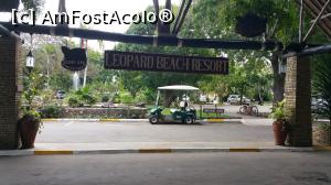 [P11] Reception Leopard » foto by Simona31
 - 
<span class="allrVoted glyphicon glyphicon-heart hidden" id="av1046637"></span>
<a class="m-l-10 hidden" id="sv1046637" onclick="voting_Foto_DelVot(,1046637,24763)" role="button">șterge vot <span class="glyphicon glyphicon-remove"></span></a>
<a id="v91046637" class=" c-red"  onclick="voting_Foto_SetVot(1046637)" role="button"><span class="glyphicon glyphicon-heart-empty"></span> <b>LIKE</b> = Votează poza</a> <img class="hidden"  id="f1046637W9" src="/imagini/loader.gif" border="0" /><span class="AjErrMes hidden" id="e1046637ErM"></span>