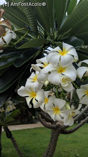 [P12]  -- <small>// FĂRĂ DESCRIERE</small> » foto by ascarlat
 - 
<span class="allrVoted glyphicon glyphicon-heart hidden" id="av1050615"></span>
<a class="m-l-10 hidden" id="sv1050615" onclick="voting_Foto_DelVot(,1050615,24824)" role="button">șterge vot <span class="glyphicon glyphicon-remove"></span></a>
<a id="v91050615" class=" c-red"  onclick="voting_Foto_SetVot(1050615)" role="button"><span class="glyphicon glyphicon-heart-empty"></span> <b>LIKE</b> = Votează poza</a> <img class="hidden"  id="f1050615W9" src="/imagini/loader.gif" border="0" /><span class="AjErrMes hidden" id="e1050615ErM"></span>