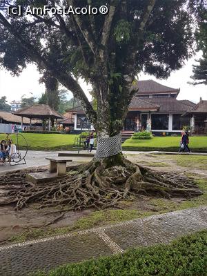 [P28] Pura Ulun Danu Beratan » foto by r-Uca
 - 
<span class="allrVoted glyphicon glyphicon-heart hidden" id="av1058094"></span>
<a class="m-l-10 hidden" id="sv1058094" onclick="voting_Foto_DelVot(,1058094,24939)" role="button">șterge vot <span class="glyphicon glyphicon-remove"></span></a>
<a id="v91058094" class=" c-red"  onclick="voting_Foto_SetVot(1058094)" role="button"><span class="glyphicon glyphicon-heart-empty"></span> <b>LIKE</b> = Votează poza</a> <img class="hidden"  id="f1058094W9" src="/imagini/loader.gif" border="0" /><span class="AjErrMes hidden" id="e1058094ErM"></span>