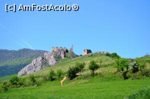 [P05] Cetatea Trascăului » foto by AZE
 - 
<span class="allrVoted glyphicon glyphicon-heart hidden" id="av976281"></span>
<a class="m-l-10 hidden" id="sv976281" onclick="voting_Foto_DelVot(,976281,24963)" role="button">șterge vot <span class="glyphicon glyphicon-remove"></span></a>
<a id="v9976281" class=" c-red"  onclick="voting_Foto_SetVot(976281)" role="button"><span class="glyphicon glyphicon-heart-empty"></span> <b>LIKE</b> = Votează poza</a> <img class="hidden"  id="f976281W9" src="/imagini/loader.gif" border="0" /><span class="AjErrMes hidden" id="e976281ErM"></span>