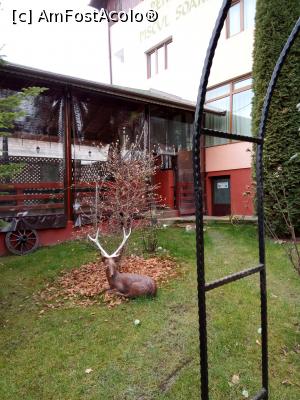 [P14] Imagine din curtea pensiunii Piscul Soarelui. În fundal este terasa semiacoperită ce adăpostește mese și grătarul » foto by Daisy Petal
 - 
<span class="allrVoted glyphicon glyphicon-heart hidden" id="av1209099"></span>
<a class="m-l-10 hidden" id="sv1209099" onclick="voting_Foto_DelVot(,1209099,24969)" role="button">șterge vot <span class="glyphicon glyphicon-remove"></span></a>
<a id="v91209099" class=" c-red"  onclick="voting_Foto_SetVot(1209099)" role="button"><span class="glyphicon glyphicon-heart-empty"></span> <b>LIKE</b> = Votează poza</a> <img class="hidden"  id="f1209099W9" src="/imagini/loader.gif" border="0" /><span class="AjErrMes hidden" id="e1209099ErM"></span>