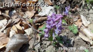 [P40] Ocna de Fier » foto by ungureanica
 - 
<span class="allrVoted glyphicon glyphicon-heart hidden" id="av1061407"></span>
<a class="m-l-10 hidden" id="sv1061407" onclick="voting_Foto_DelVot(,1061407,24991)" role="button">șterge vot <span class="glyphicon glyphicon-remove"></span></a>
<a id="v91061407" class=" c-red"  onclick="voting_Foto_SetVot(1061407)" role="button"><span class="glyphicon glyphicon-heart-empty"></span> <b>LIKE</b> = Votează poza</a> <img class="hidden"  id="f1061407W9" src="/imagini/loader.gif" border="0" /><span class="AjErrMes hidden" id="e1061407ErM"></span>
