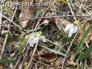 [P03] Vestitorii sunt aici » foto by DOINITA
 - 
<span class="allrVoted glyphicon glyphicon-heart hidden" id="av1061488"></span>
<a class="m-l-10 hidden" id="sv1061488" onclick="voting_Foto_DelVot(,1061488,24994)" role="button">șterge vot <span class="glyphicon glyphicon-remove"></span></a>
<a id="v91061488" class=" c-red"  onclick="voting_Foto_SetVot(1061488)" role="button"><span class="glyphicon glyphicon-heart-empty"></span> <b>LIKE</b> = Votează poza</a> <img class="hidden"  id="f1061488W9" src="/imagini/loader.gif" border="0" /><span class="AjErrMes hidden" id="e1061488ErM"></span>