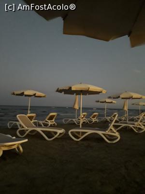 [P11] Plaja Finikoudes- Larnaca » foto by Crys_cristina
 - 
<span class="allrVoted glyphicon glyphicon-heart hidden" id="av1063560"></span>
<a class="m-l-10 hidden" id="sv1063560" onclick="voting_Foto_DelVot(,1063560,25024)" role="button">șterge vot <span class="glyphicon glyphicon-remove"></span></a>
<a id="v91063560" class=" c-red"  onclick="voting_Foto_SetVot(1063560)" role="button"><span class="glyphicon glyphicon-heart-empty"></span> <b>LIKE</b> = Votează poza</a> <img class="hidden"  id="f1063560W9" src="/imagini/loader.gif" border="0" /><span class="AjErrMes hidden" id="e1063560ErM"></span>