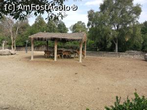[P25] Animalele aveau spatii foarte mari » foto by M'Liviu
 - 
<span class="allrVoted glyphicon glyphicon-heart hidden" id="av1089502"></span>
<a class="m-l-10 hidden" id="sv1089502" onclick="voting_Foto_DelVot(,1089502,25044)" role="button">șterge vot <span class="glyphicon glyphicon-remove"></span></a>
<a id="v91089502" class=" c-red"  onclick="voting_Foto_SetVot(1089502)" role="button"><span class="glyphicon glyphicon-heart-empty"></span> <b>LIKE</b> = Votează poza</a> <img class="hidden"  id="f1089502W9" src="/imagini/loader.gif" border="0" /><span class="AjErrMes hidden" id="e1089502ErM"></span>