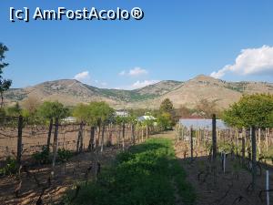 [P18] Vârfurile Cavalu, Țuțuiatu și Ghiunalțu (de la stânga spre dreapta), văzute din curtea pensiunii Matetovici, localitatea Greci, județul Tulcea.  » foto by Floryn81
 - 
<span class="allrVoted glyphicon glyphicon-heart hidden" id="av1069763"></span>
<a class="m-l-10 hidden" id="sv1069763" onclick="voting_Foto_DelVot(,1069763,25125)" role="button">șterge vot <span class="glyphicon glyphicon-remove"></span></a>
<a id="v91069763" class=" c-red"  onclick="voting_Foto_SetVot(1069763)" role="button"><span class="glyphicon glyphicon-heart-empty"></span> <b>LIKE</b> = Votează poza</a> <img class="hidden"  id="f1069763W9" src="/imagini/loader.gif" border="0" /><span class="AjErrMes hidden" id="e1069763ErM"></span>