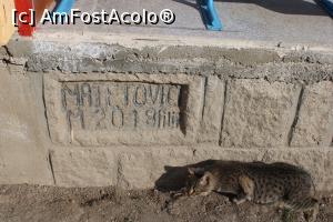 [P28] Greci, jud. Tulcea, Pensiunea Matetovici, Casa Filip, piatră de temelie, construită în 2019 și una din cele trei pisicuțe » foto by mprofeanu
 - 
<span class="allrVoted glyphicon glyphicon-heart hidden" id="av1221926"></span>
<a class="m-l-10 hidden" id="sv1221926" onclick="voting_Foto_DelVot(,1221926,25125)" role="button">șterge vot <span class="glyphicon glyphicon-remove"></span></a>
<a id="v91221926" class=" c-red"  onclick="voting_Foto_SetVot(1221926)" role="button"><span class="glyphicon glyphicon-heart-empty"></span> <b>LIKE</b> = Votează poza</a> <img class="hidden"  id="f1221926W9" src="/imagini/loader.gif" border="0" /><span class="AjErrMes hidden" id="e1221926ErM"></span>