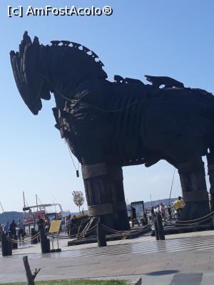 [P02] pe faleza la Canakkale » foto by adrianbogdan
 - 
<span class="allrVoted glyphicon glyphicon-heart hidden" id="av1108539"></span>
<a class="m-l-10 hidden" id="sv1108539" onclick="voting_Foto_DelVot(,1108539,25138)" role="button">șterge vot <span class="glyphicon glyphicon-remove"></span></a>
<a id="v91108539" class=" c-red"  onclick="voting_Foto_SetVot(1108539)" role="button"><span class="glyphicon glyphicon-heart-empty"></span> <b>LIKE</b> = Votează poza</a> <img class="hidden"  id="f1108539W9" src="/imagini/loader.gif" border="0" /><span class="AjErrMes hidden" id="e1108539ErM"></span>