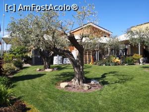 [P19] Asa arat o curte de podogrie » foto by DOINITA
 - 
<span class="allrVoted glyphicon glyphicon-heart hidden" id="av1076994"></span>
<a class="m-l-10 hidden" id="sv1076994" onclick="voting_Foto_DelVot(,1076994,25229)" role="button">șterge vot <span class="glyphicon glyphicon-remove"></span></a>
<a id="v91076994" class=" c-red"  onclick="voting_Foto_SetVot(1076994)" role="button"><span class="glyphicon glyphicon-heart-empty"></span> <b>LIKE</b> = Votează poza</a> <img class="hidden"  id="f1076994W9" src="/imagini/loader.gif" border="0" /><span class="AjErrMes hidden" id="e1076994ErM"></span>