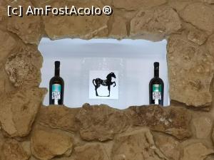 [P29] Simbolul firmei, calul, pentru ca, ei spun ca " Tenuta Ulisse" este Ferrari al vinului.  » foto by DOINITA
 - 
<span class="allrVoted glyphicon glyphicon-heart hidden" id="av1077004"></span>
<a class="m-l-10 hidden" id="sv1077004" onclick="voting_Foto_DelVot(,1077004,25229)" role="button">șterge vot <span class="glyphicon glyphicon-remove"></span></a>
<a id="v91077004" class=" c-red"  onclick="voting_Foto_SetVot(1077004)" role="button"><span class="glyphicon glyphicon-heart-empty"></span> <b>LIKE</b> = Votează poza</a> <img class="hidden"  id="f1077004W9" src="/imagini/loader.gif" border="0" /><span class="AjErrMes hidden" id="e1077004ErM"></span>