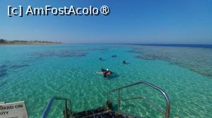 [P50] Sheraton Soma Bay, prima zonă de snorkeling » foto by elenaadina
 - 
<span class="allrVoted glyphicon glyphicon-heart hidden" id="av1536507"></span>
<a class="m-l-10 hidden" id="sv1536507" onclick="voting_Foto_DelVot(,1536507,25268)" role="button">șterge vot <span class="glyphicon glyphicon-remove"></span></a>
<a id="v91536507" class=" c-red"  onclick="voting_Foto_SetVot(1536507)" role="button"><span class="glyphicon glyphicon-heart-empty"></span> <b>LIKE</b> = Votează poza</a> <img class="hidden"  id="f1536507W9" src="/imagini/loader.gif" border="0" /><span class="AjErrMes hidden" id="e1536507ErM"></span>