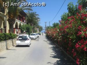 [P13] Una dintre aleile ce duc de la hotel, la mare » foto by dorgo
 - 
<span class="allrVoted glyphicon glyphicon-heart hidden" id="av1125389"></span>
<a class="m-l-10 hidden" id="sv1125389" onclick="voting_Foto_DelVot(,1125389,25283)" role="button">șterge vot <span class="glyphicon glyphicon-remove"></span></a>
<a id="v91125389" class=" c-red"  onclick="voting_Foto_SetVot(1125389)" role="button"><span class="glyphicon glyphicon-heart-empty"></span> <b>LIKE</b> = Votează poza</a> <img class="hidden"  id="f1125389W9" src="/imagini/loader.gif" border="0" /><span class="AjErrMes hidden" id="e1125389ErM"></span>