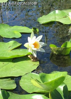 [P09]  -- <small>// FĂRĂ DESCRIERE</small> » foto by AndreaCornea
 - 
<span class="allrVoted glyphicon glyphicon-heart hidden" id="av1184741"></span>
<a class="m-l-10 hidden" id="sv1184741" onclick="voting_Foto_DelVot(,1184741,25339)" role="button">șterge vot <span class="glyphicon glyphicon-remove"></span></a>
<a id="v91184741" class=" c-red"  onclick="voting_Foto_SetVot(1184741)" role="button"><span class="glyphicon glyphicon-heart-empty"></span> <b>LIKE</b> = Votează poza</a> <img class="hidden"  id="f1184741W9" src="/imagini/loader.gif" border="0" /><span class="AjErrMes hidden" id="e1184741ErM"></span>