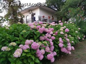 [P35] Vecinul de lângă casă, și el cu camere de închiriat.  » foto by Aurici
 - 
<span class="allrVoted glyphicon glyphicon-heart hidden" id="av1084036"></span>
<a class="m-l-10 hidden" id="sv1084036" onclick="voting_Foto_DelVot(,1084036,25342)" role="button">șterge vot <span class="glyphicon glyphicon-remove"></span></a>
<a id="v91084036" class=" c-red"  onclick="voting_Foto_SetVot(1084036)" role="button"><span class="glyphicon glyphicon-heart-empty"></span> <b>LIKE</b> = Votează poza</a> <img class="hidden"  id="f1084036W9" src="/imagini/loader.gif" border="0" /><span class="AjErrMes hidden" id="e1084036ErM"></span>