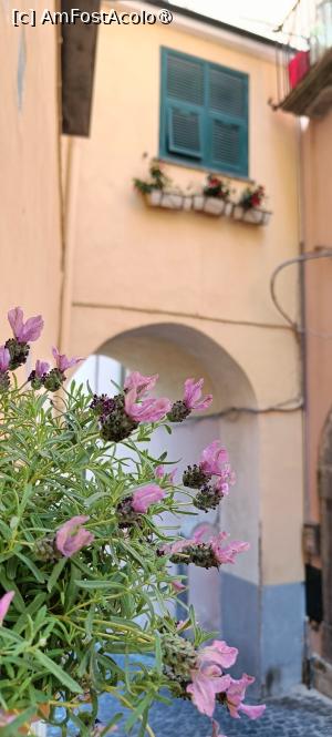 [P32] Spre Piazza delle Armi. » foto by tata123 🔱
 - 
<span class="allrVoted glyphicon glyphicon-heart hidden" id="av1527680"></span>
<a class="m-l-10 hidden" id="sv1527680" onclick="voting_Foto_DelVot(,1527680,25378)" role="button">șterge vot <span class="glyphicon glyphicon-remove"></span></a>
<a id="v91527680" class=" c-red"  onclick="voting_Foto_SetVot(1527680)" role="button"><span class="glyphicon glyphicon-heart-empty"></span> <b>LIKE</b> = Votează poza</a> <img class="hidden"  id="f1527680W9" src="/imagini/loader.gif" border="0" /><span class="AjErrMes hidden" id="e1527680ErM"></span>