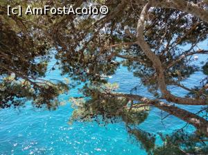 [P16] Positano, oare cam așa? » foto by maryka
 - 
<span class="allrVoted glyphicon glyphicon-heart hidden" id="av1087182"></span>
<a class="m-l-10 hidden" id="sv1087182" onclick="voting_Foto_DelVot(,1087182,25401)" role="button">șterge vot <span class="glyphicon glyphicon-remove"></span></a>
<a id="v91087182" class=" c-red"  onclick="voting_Foto_SetVot(1087182)" role="button"><span class="glyphicon glyphicon-heart-empty"></span> <b>LIKE</b> = Votează poza</a> <img class="hidden"  id="f1087182W9" src="/imagini/loader.gif" border="0" /><span class="AjErrMes hidden" id="e1087182ErM"></span>