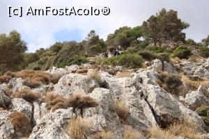 [P27] Creta, Peninsula Akrotiri, Printre stânci, pe poteca spre Mănăstirea Katholiko, coborâm zdravăn... » foto by mprofeanu
 - 
<span class="allrVoted glyphicon glyphicon-heart hidden" id="av1276325"></span>
<a class="m-l-10 hidden" id="sv1276325" onclick="voting_Foto_DelVot(,1276325,25424)" role="button">șterge vot <span class="glyphicon glyphicon-remove"></span></a>
<a id="v91276325" class=" c-red"  onclick="voting_Foto_SetVot(1276325)" role="button"><span class="glyphicon glyphicon-heart-empty"></span> <b>LIKE</b> = Votează poza</a> <img class="hidden"  id="f1276325W9" src="/imagini/loader.gif" border="0" /><span class="AjErrMes hidden" id="e1276325ErM"></span>