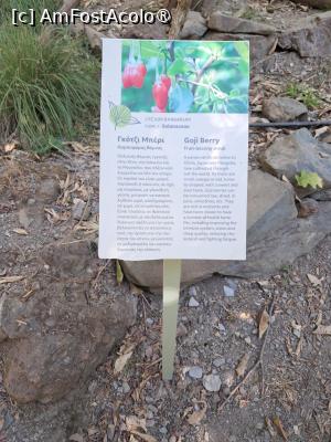 [P30] Gradina Botanica » foto by ilee
 - 
<span class="allrVoted glyphicon glyphicon-heart hidden" id="av1495266"></span>
<a class="m-l-10 hidden" id="sv1495266" onclick="voting_Foto_DelVot(,1495266,25424)" role="button">șterge vot <span class="glyphicon glyphicon-remove"></span></a>
<a id="v91495266" class=" c-red"  onclick="voting_Foto_SetVot(1495266)" role="button"><span class="glyphicon glyphicon-heart-empty"></span> <b>LIKE</b> = Votează poza</a> <img class="hidden"  id="f1495266W9" src="/imagini/loader.gif" border="0" /><span class="AjErrMes hidden" id="e1495266ErM"></span>