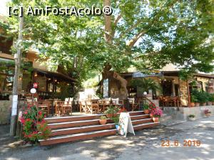 P07 [JUN-2019] Taverna Filoxenia, Elos