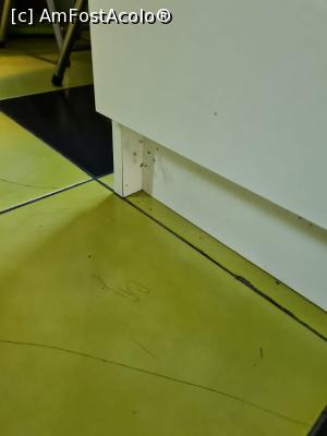 [P01] Mizerie apartament Ungureanu 17, Timisoara » foto by Dan01
 - 
<span class="allrVoted glyphicon glyphicon-heart hidden" id="av1183376"></span>
<a class="m-l-10 hidden" id="sv1183376" onclick="voting_Foto_DelVot(,1183376,25464)" role="button">șterge vot <span class="glyphicon glyphicon-remove"></span></a>
<a id="v91183376" class=" c-red"  onclick="voting_Foto_SetVot(1183376)" role="button"><span class="glyphicon glyphicon-heart-empty"></span> <b>LIKE</b> = Votează poza</a> <img class="hidden"  id="f1183376W9" src="/imagini/loader.gif" border="0" /><span class="AjErrMes hidden" id="e1183376ErM"></span>