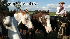 [P03] Ferma Santa Susana » foto by elenaadina
 - 
<span class="allrVoted glyphicon glyphicon-heart hidden" id="av1519360"></span>
<a class="m-l-10 hidden" id="sv1519360" onclick="voting_Foto_DelVot(,1519360,25466)" role="button">șterge vot <span class="glyphicon glyphicon-remove"></span></a>
<a id="v91519360" class=" c-red"  onclick="voting_Foto_SetVot(1519360)" role="button"><span class="glyphicon glyphicon-heart-empty"></span> <b>LIKE</b> = Votează poza</a> <img class="hidden"  id="f1519360W9" src="/imagini/loader.gif" border="0" /><span class="AjErrMes hidden" id="e1519360ErM"></span>