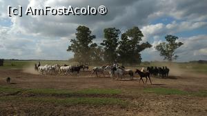 [P40]  -- <small>// FĂRĂ DESCRIERE</small> » foto by elenaadina
 - 
<span class="allrVoted glyphicon glyphicon-heart hidden" id="av1519397"></span>
<a class="m-l-10 hidden" id="sv1519397" onclick="voting_Foto_DelVot(,1519397,25466)" role="button">șterge vot <span class="glyphicon glyphicon-remove"></span></a>
<a id="v91519397" class=" c-red"  onclick="voting_Foto_SetVot(1519397)" role="button"><span class="glyphicon glyphicon-heart-empty"></span> <b>LIKE</b> = Votează poza</a> <img class="hidden"  id="f1519397W9" src="/imagini/loader.gif" border="0" /><span class="AjErrMes hidden" id="e1519397ErM"></span>