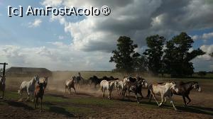 [P44] Ferma Santa Susana » foto by elenaadina
 - 
<span class="allrVoted glyphicon glyphicon-heart hidden" id="av1519401"></span>
<a class="m-l-10 hidden" id="sv1519401" onclick="voting_Foto_DelVot(,1519401,25466)" role="button">șterge vot <span class="glyphicon glyphicon-remove"></span></a>
<a id="v91519401" class=" c-red"  onclick="voting_Foto_SetVot(1519401)" role="button"><span class="glyphicon glyphicon-heart-empty"></span> <b>LIKE</b> = Votează poza</a> <img class="hidden"  id="f1519401W9" src="/imagini/loader.gif" border="0" /><span class="AjErrMes hidden" id="e1519401ErM"></span>